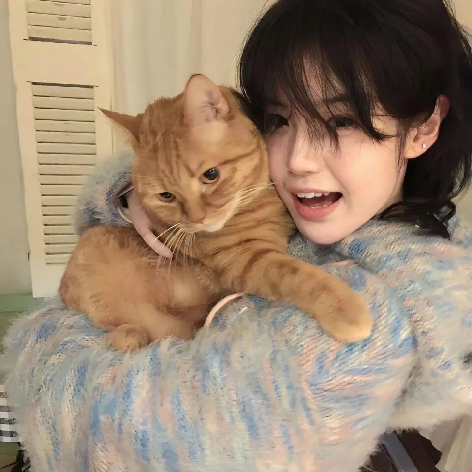 异世界居酒屋阿信